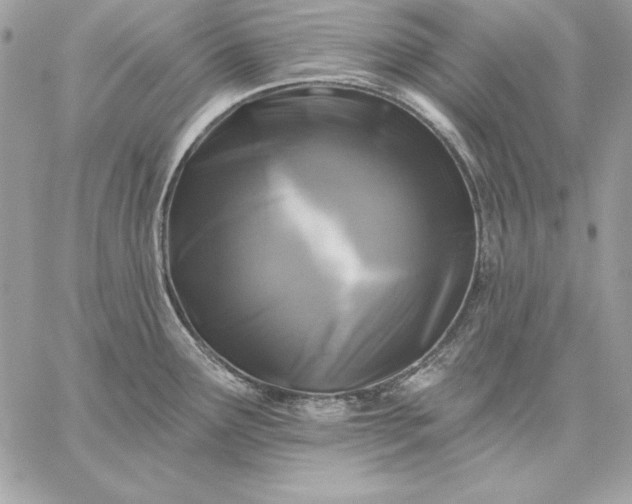 X0000059081291200510172020