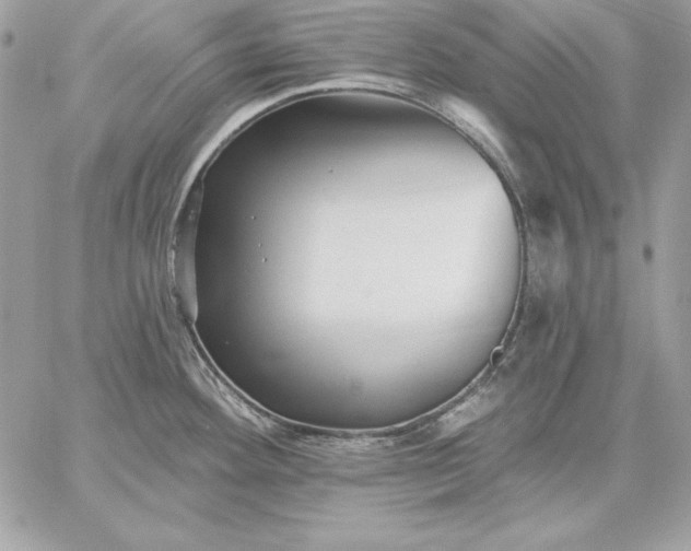 X0000059081292200510172020