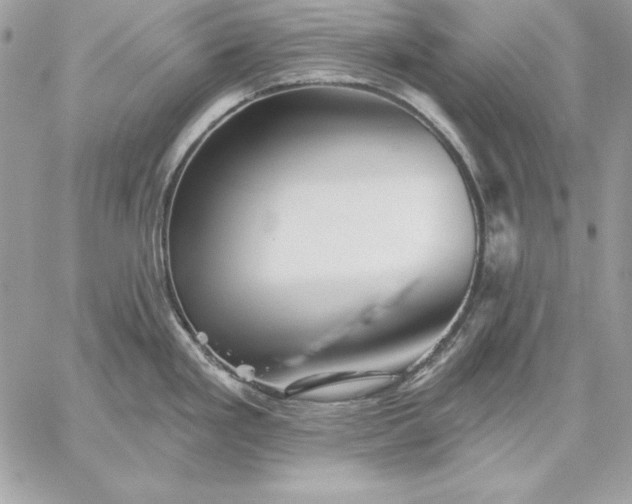 X0000059081293200510172020