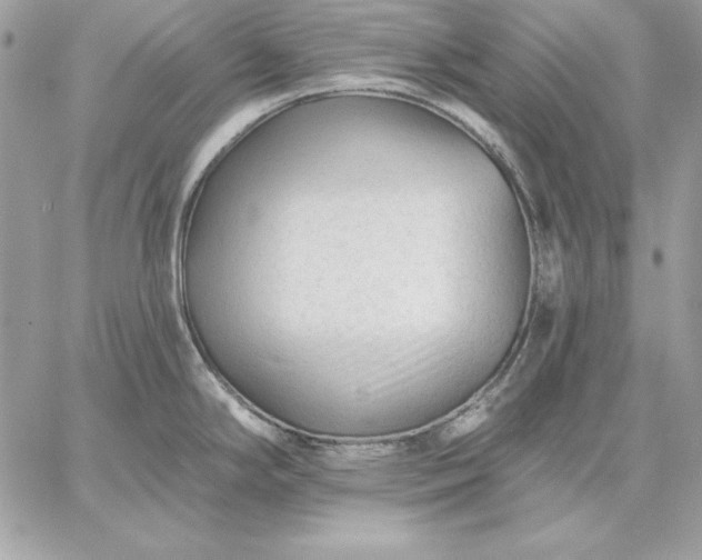 X0000059081294200510172020