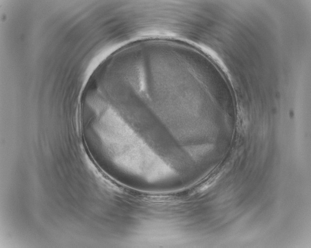 X0000059081295200510172020