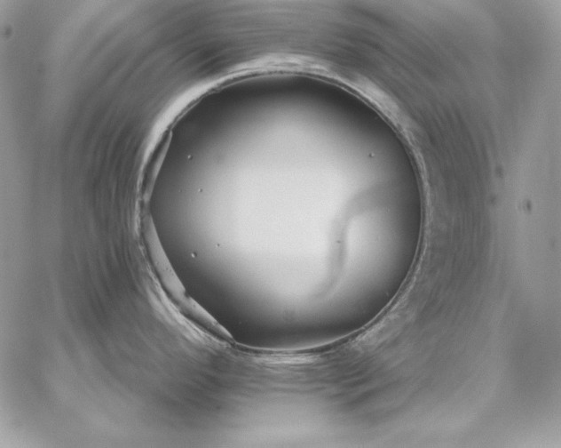 X0000059081296200510172020