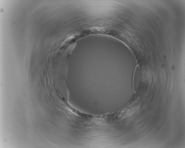 X0000059081297200510172019