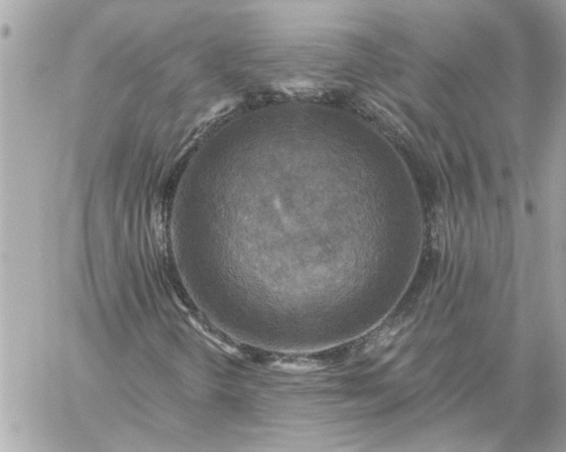 X0000059081298200510172019