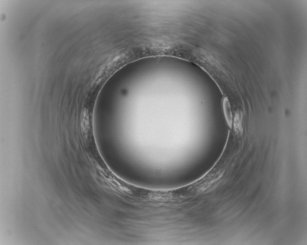 X0000059081299200510172019