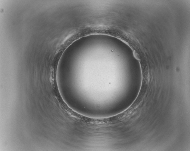 X0000059081301200510172019