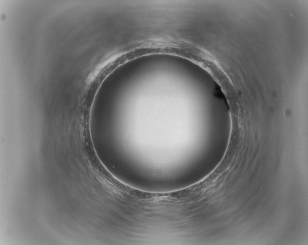 X0000059081304200510172019