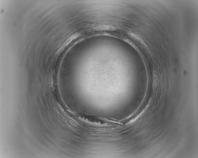 X0000059081305200510172019