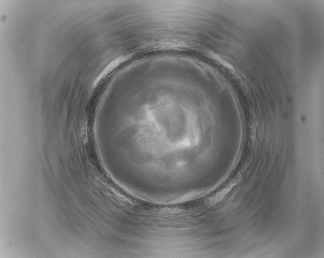 X0000059081306200510172019