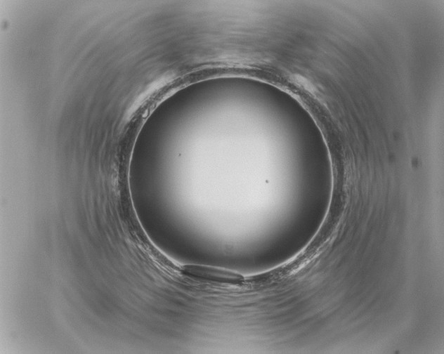 X0000059081307200510172019