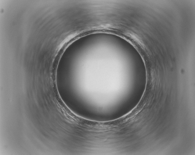 X0000059081308200510172019