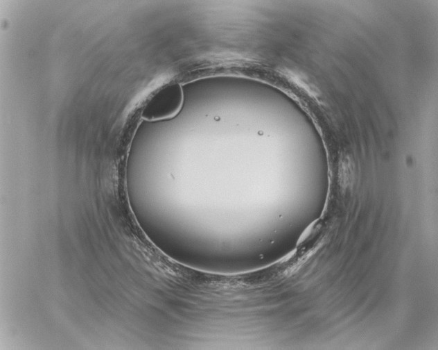 X0000059081309200510172019