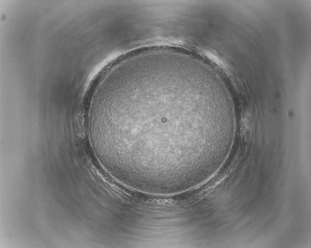 X0000059081310200510172019