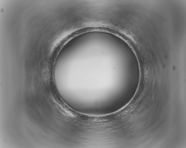 X0000059081311200510172019