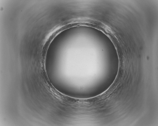 X0000059081312200510172019