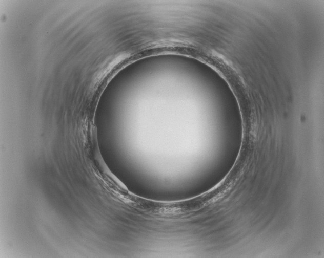 X0000059081313200510172019