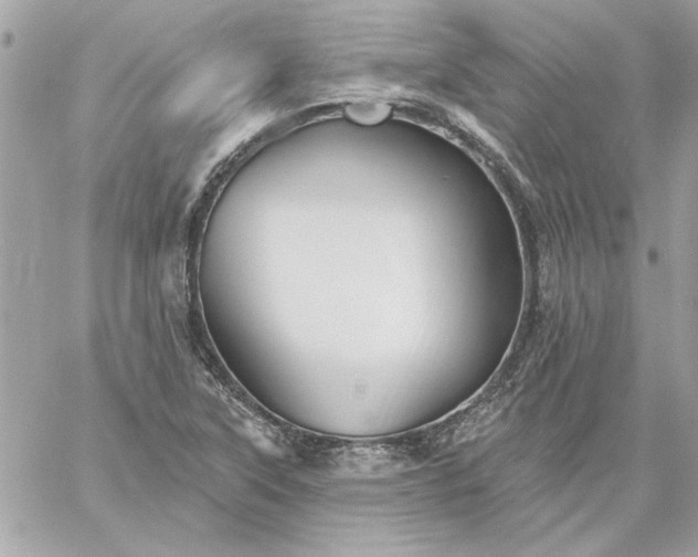 X0000059081315200510172019