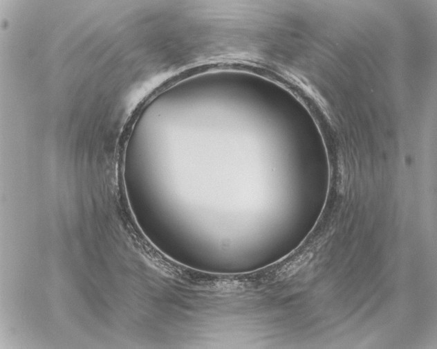 X0000059081316200510172019