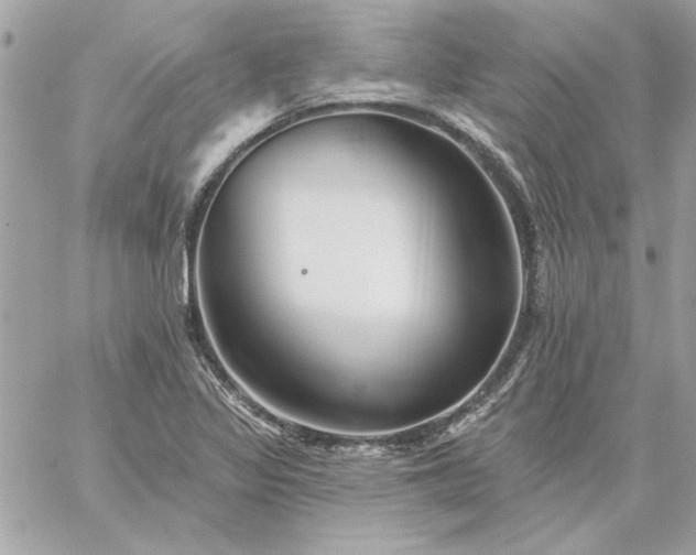 X0000059081317200510172019