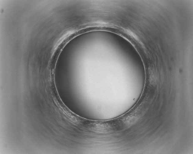 X0000059081318200510172019