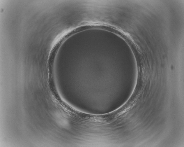 X0000059081319200510172019