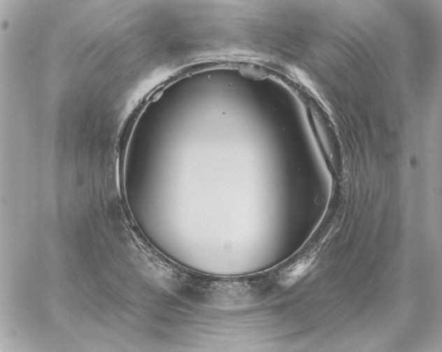 X0000059081320200510172020