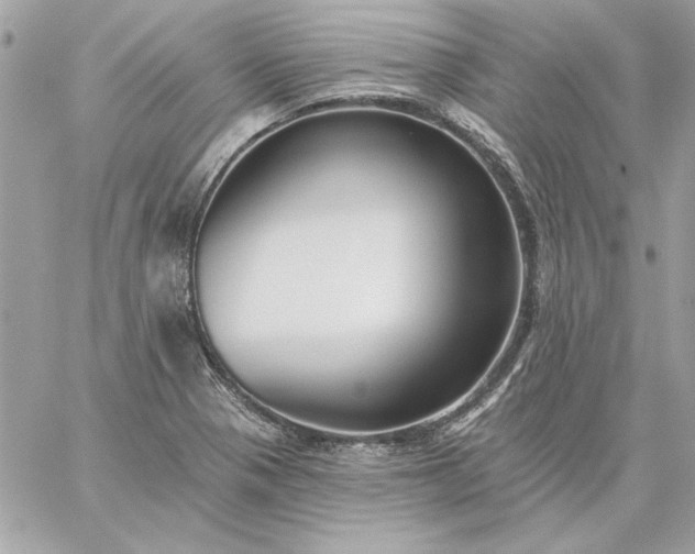 X0000059081321200510172020