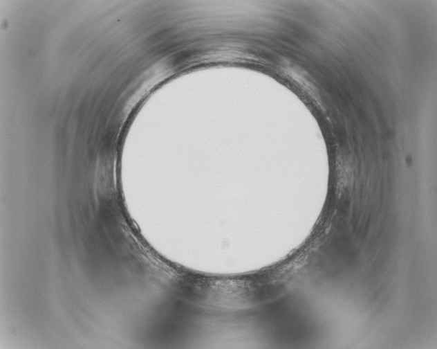 X0000059081322200510172020