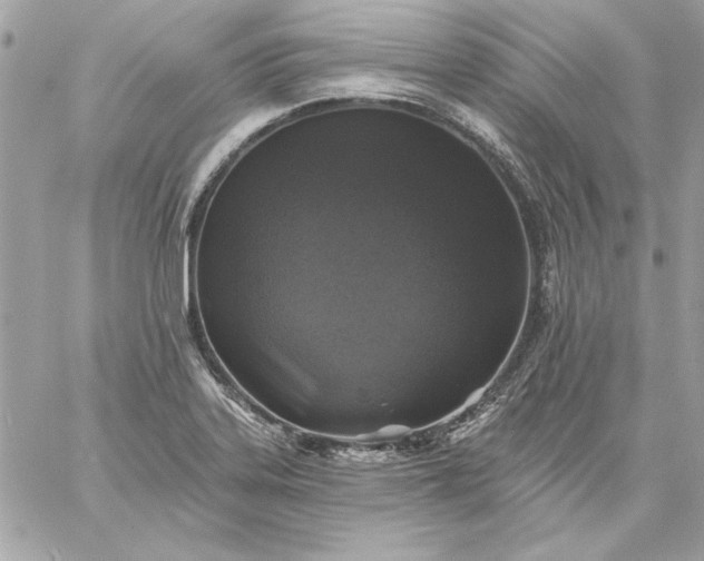 X0000059081323200510172020