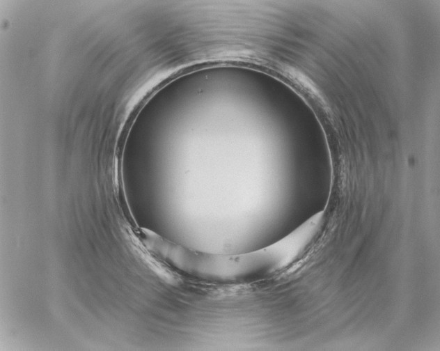 X0000059081324200510172020