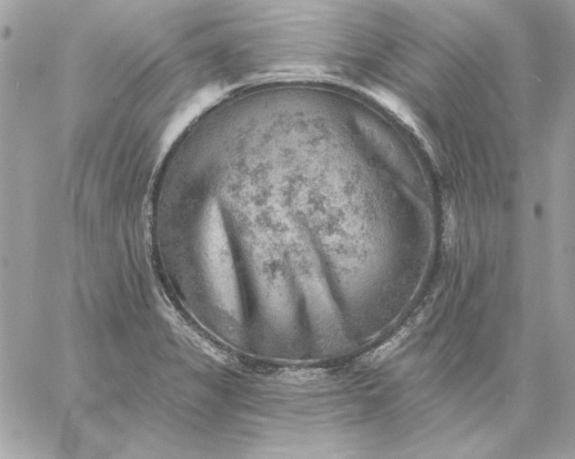 X0000059081325200510172020