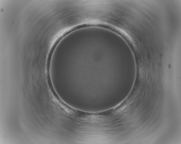 X0000059081327200510172020