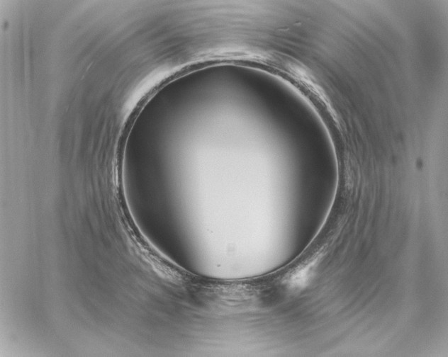 X0000059081328200510172020