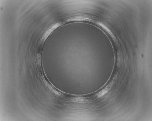 X0000059081329200510172020