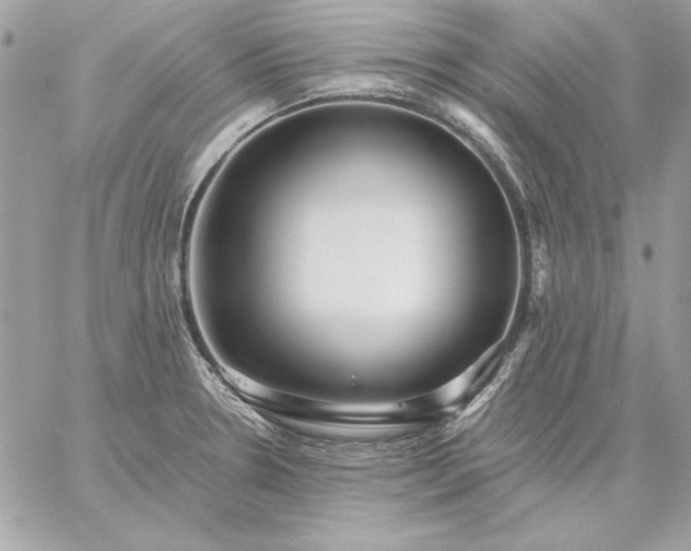 X0000059081330200510172020