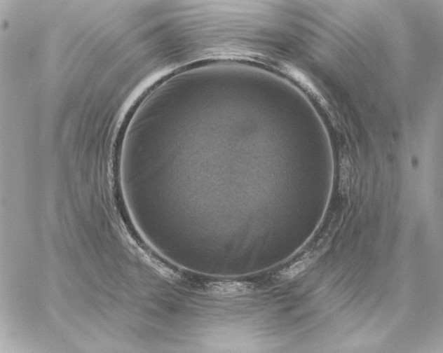 X0000059081331200510172020