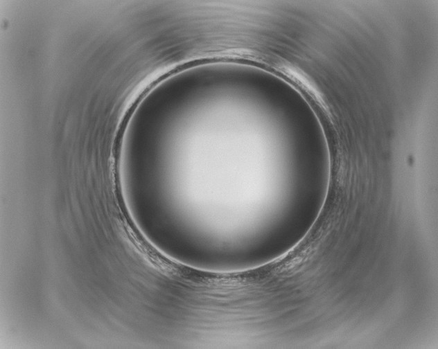 X0000059081332200510172020