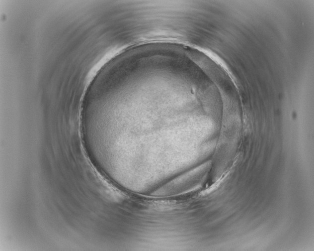 X0000059081333200510172020