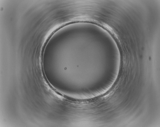 X0000059081334200510172020