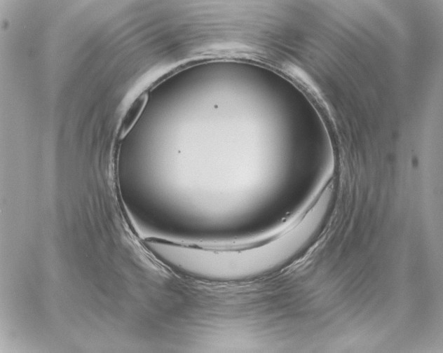 X0000059081336200510172020