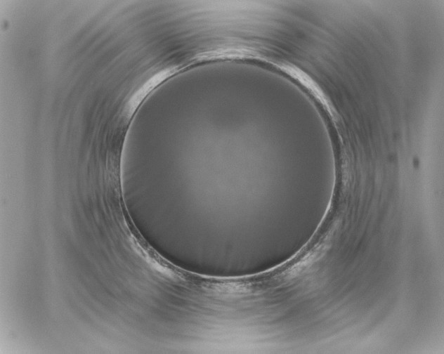 X0000059081337200510172020