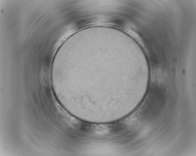 X0000059081338200510172020