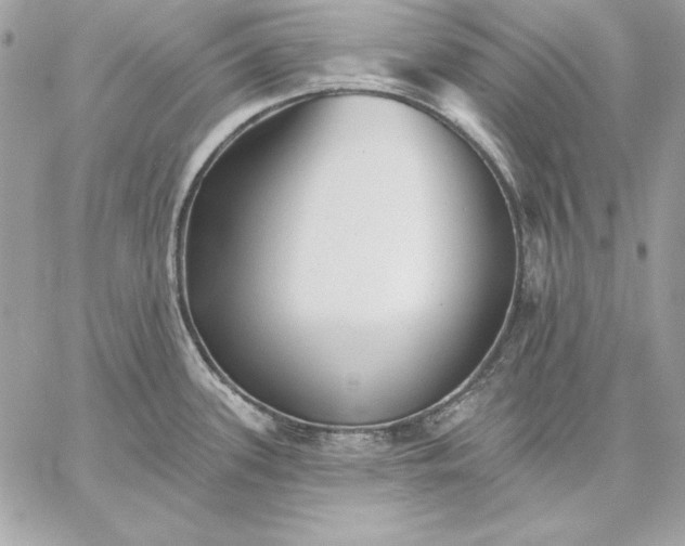 X0000059081339200510172020