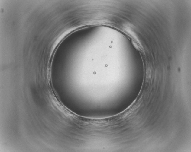 X0000059081340200510172020