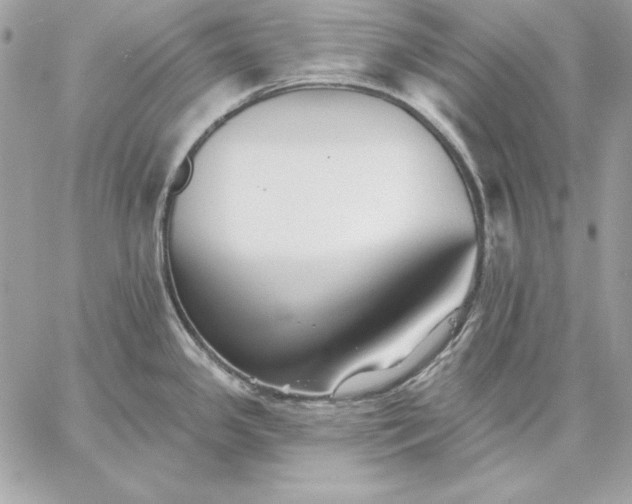 X0000059081341200510172020