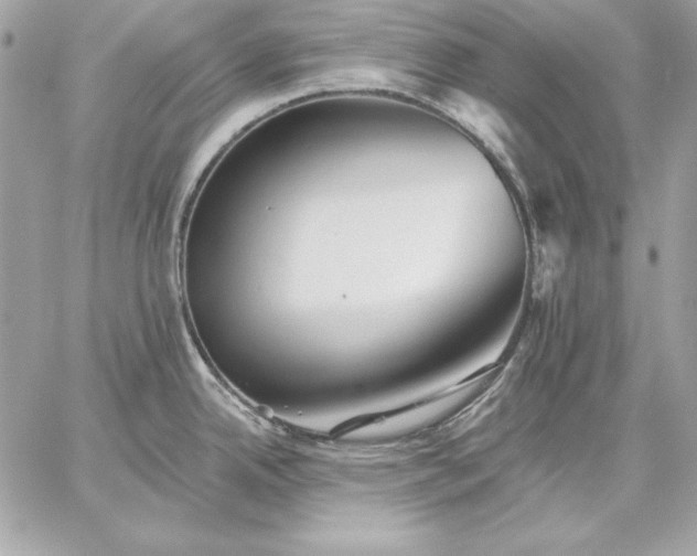 X0000059081342200510172020