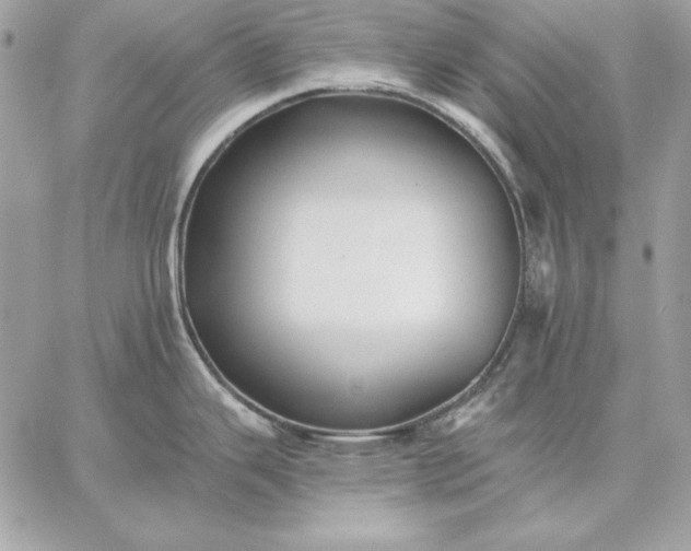 X0000059081343200510172020