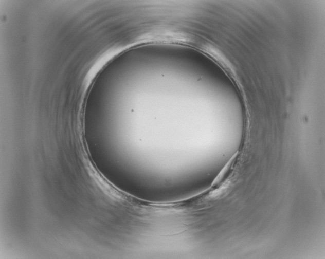 X0000059081344200510172020