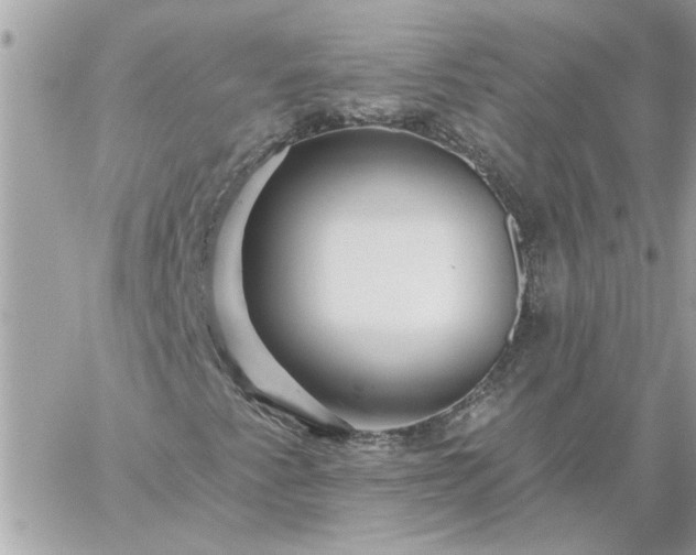 X0000059081345200510172019