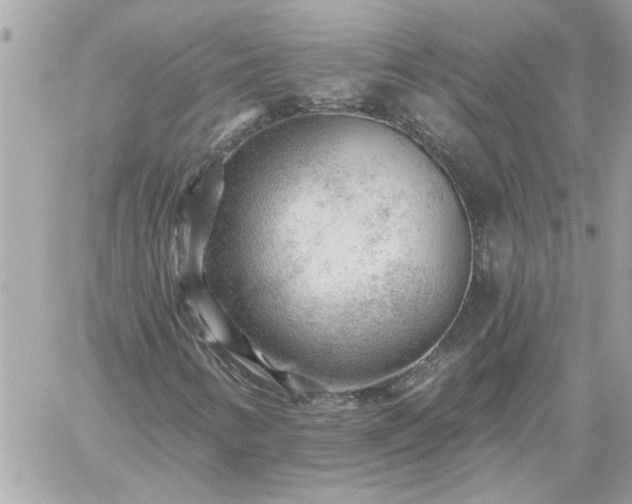 X0000059081346200510172019